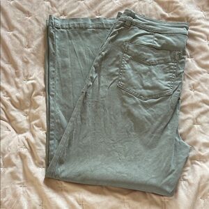 Joie Muted Gray/Green  Trousers